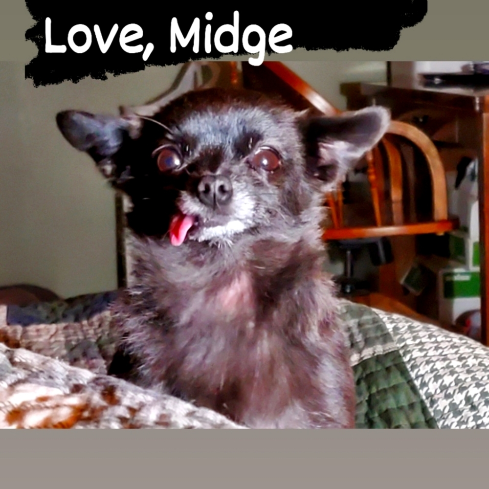 Meet your Posher, Laurie